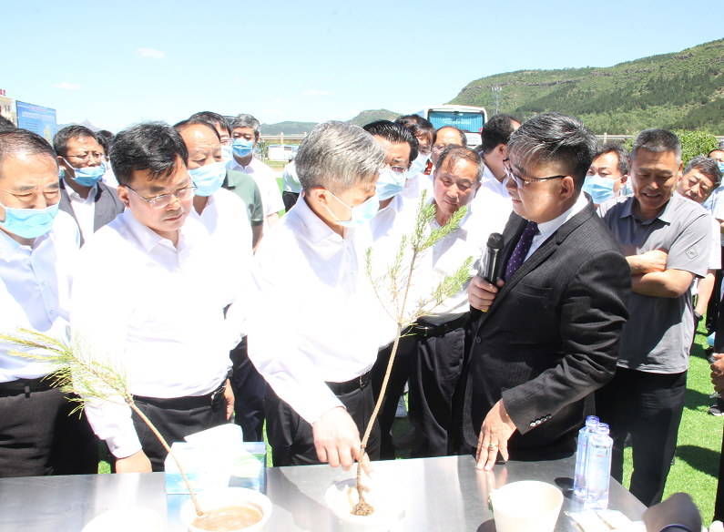 承德市市委書記董曉宇率市重點項目百人觀摩團蒞臨國投盛世觀摩考察