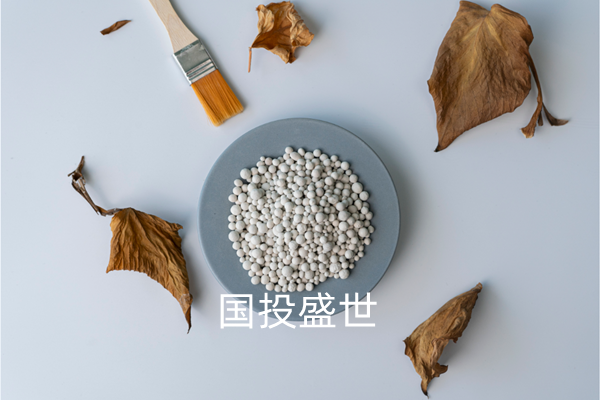 沸石分子篩干燥及凈化領(lǐng)域的應(yīng)用-國投盛世