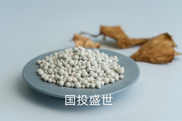 沸石分子篩吸附分離領(lǐng)域的應(yīng)用-國投盛世