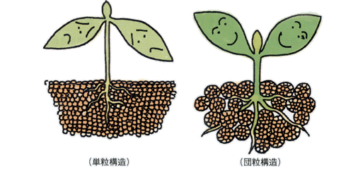 沸石如何應(yīng)用于土壤改良領(lǐng)域？-國投盛世