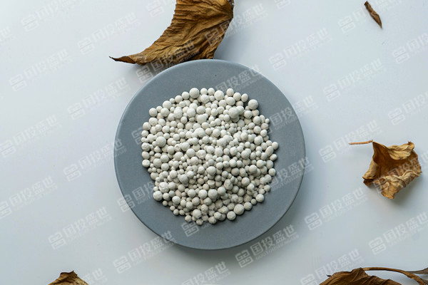 沸石未來10年將實現(xiàn)5%的正復合年增長率-國投盛世