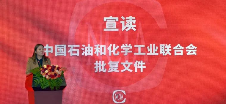 熱烈祝賀國投盛世董事長劉嚴(yán)蓬當(dāng)選中國涂料工業(yè)協(xié)會第一屆監(jiān)事會監(jiān)事長！-國投盛世