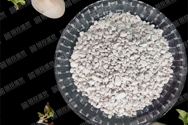 沸石可應(yīng)用于廢物處理-國投盛世