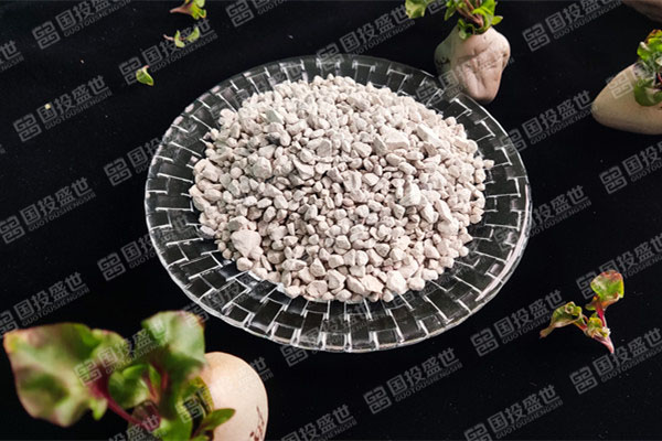 沸石在廢水處理中的應(yīng)用-國投盛世