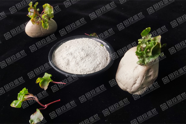 目前沸石飼料添加劑價(jià)格是多少？