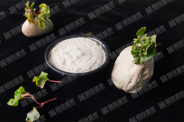 沸石在化妝品中的應(yīng)用