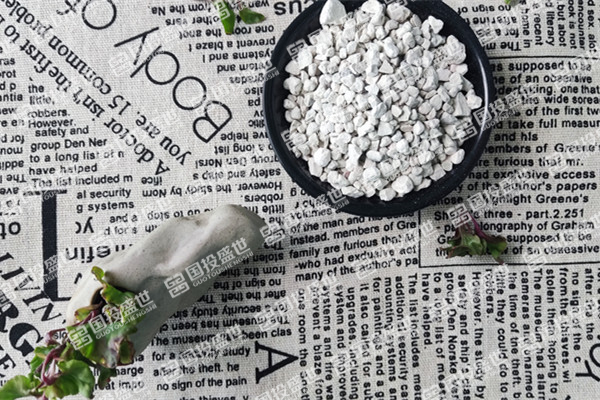 沸石在多肉植物養(yǎng)護中的作用-國投盛世