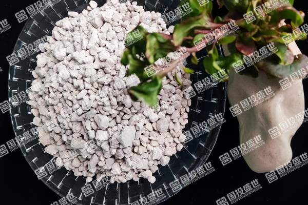 沸石在人工濕地中的作用-國(guó)投盛世