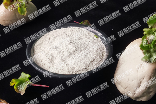 沸石粉：探索其作用與發(fā)展趨勢(shì)