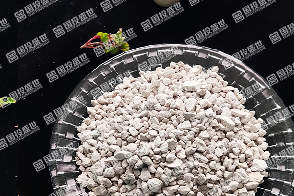 沸石顆粒在國外歐美的應(yīng)用情況