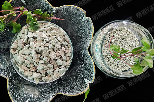 沸石與農(nóng)業(yè)除蟲的關(guān)系是什么？-國投盛世