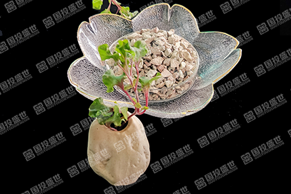 沸石在水產(chǎn)養(yǎng)殖業(yè)中的革新應(yīng)用及其環(huán)保效益探討-國投盛世
