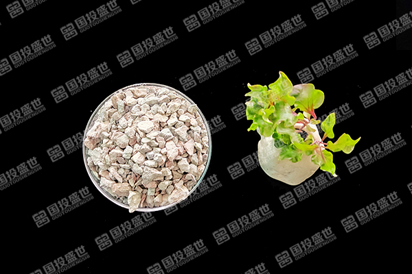 沸石能否成為水稻種植的綠色伙伴？