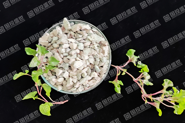 沸石在蘋(píng)果樹(shù)種植中有哪些優(yōu)勢(shì)？-國(guó)投盛世