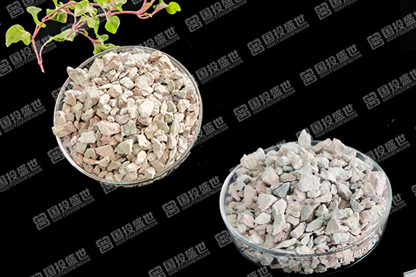 天然沸石如何助力番茄種植邁向綠色高效？