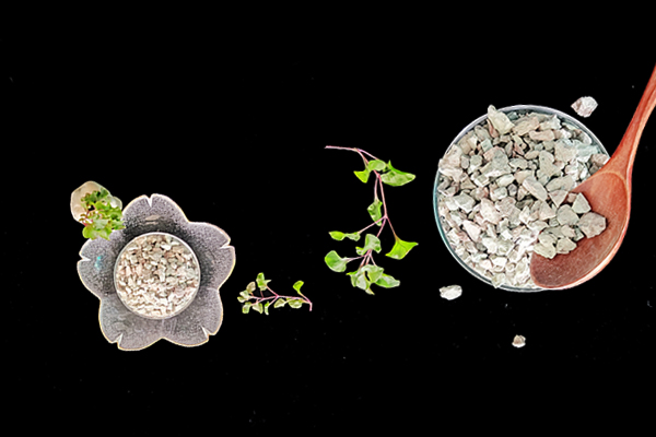 養(yǎng)驢時添加沸石有何益處？-國投盛世