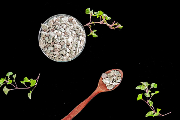 沸石在農(nóng)業(yè)種植中是否可以減少病蟲害？-國(guó)投盛世
