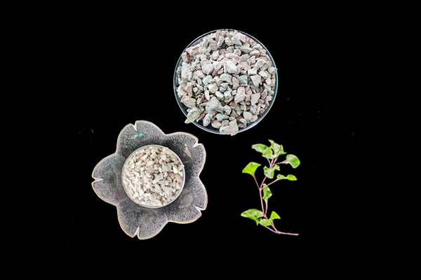 天然沸石對花生種植有何影響？