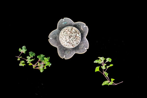 天然沸石對(duì)油菜種植有什么影響？-國(guó)投盛世