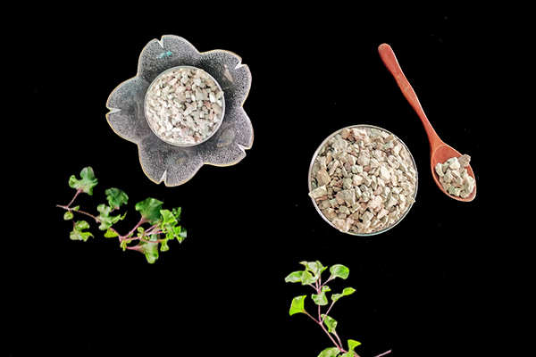 天然沸石對(duì)土豆種植有何影響？-國(guó)投盛世