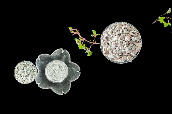 沸石能否助力空心菜產(chǎn)量提升？-國投盛世