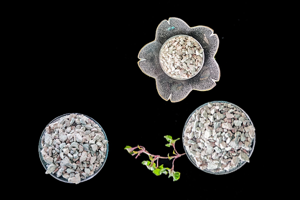 萵苣種植時添加沸石能提升產量嗎？
