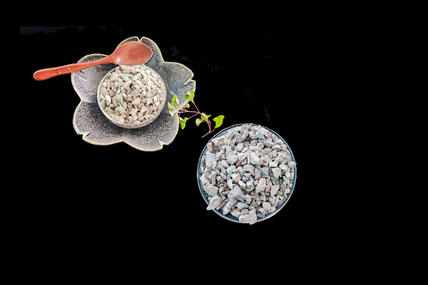 種植魔芋時加入沸石能提高產(chǎn)量嗎？-國投盛世