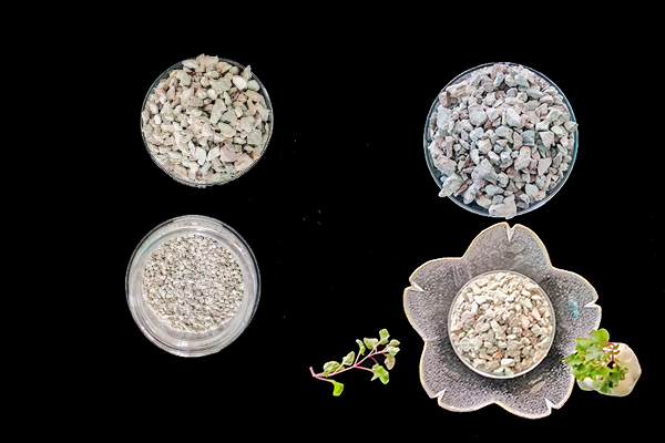 菠菜種植階段能使用沸石嗎？-國投盛世