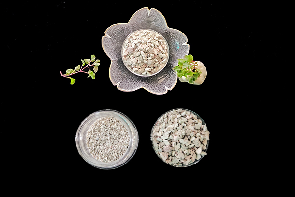 黃瓜要想獲得超高產(chǎn),記住要加入沸石